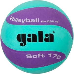 Мяч волейбольный Gala Soft 170 №5 Green-Purple (BV5681SCF) в Хмельницком