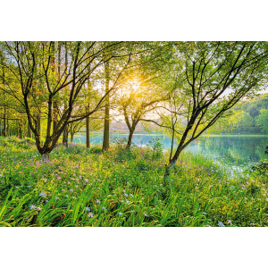 Фотообои бумажные Komar Spring Lake (Весеннее озеро NG) 368х254 см (8-524) в Хмельницком