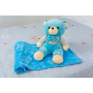 Плед дитячий MirSon №1052 Bear Blue 100х160 (2200003094039) ТОП в Хмельницькому