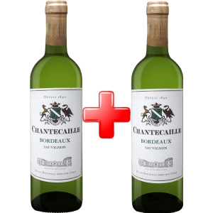 Набір GVG Chantecaille Bordeaux Blanc сухе біле 1.5 л 12% (3429671215402) ТОП в Хмельницькому