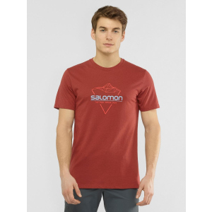 Футболка Salomon Blend Logo Tee M LC1408500 S Коричнева (0193128345792) в Хмельницькому