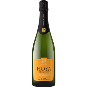 Вино игристое Hoya de Cadenas Cava Brut Nature белое брют 0.75 л 11.5% (8410310605994) лучшая модель в Хмельницком