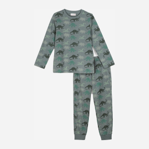 Піжама (лонгслів + штани) Coccodrillo Pyjamas ZC1448106PJS-027 104 см Сіра (5904705589172) краща модель в Хмельницькому