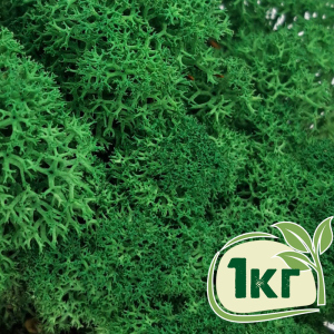 купити Стабілізований мох ягель Nordic moss Зелений трав'яний темний 1 кг