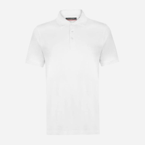 Поло Pierre Cardin 540454-01 3XL White краща модель в Хмельницькому