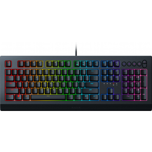 Клавіатура провідна Razer Cynosa V2 USB RU (RZ03-03400700-R3R1) ТОП в Хмельницькому