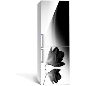 Вінілова 3D наклейка на холодильник Zatarga Мінімалізм та магнолія 650х2000 мм (Z180948re) краща модель в Хмельницькому