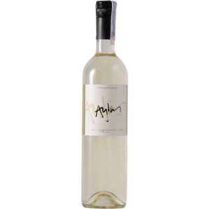 купить Вино Vina Polkura Aylin Sauvignon Blanc белое сухое 0.75 л 14% (7804611490501)