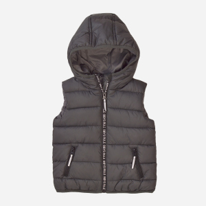 Жилет Minoti 7BGILET 9 34601JNR 110-116 см Темно-серый (5059030593988) ТОП в Хмельницком