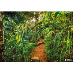 Фотообои бумажные Komar Jungle Trail 368х254 см 8 сегментов (8-989) в Хмельницком