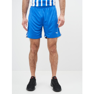 Спортивні шорти Mizuno High-Kyu Short V2EB700122 M (5054698344934) ТОП в Хмельницькому