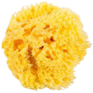 Натуральная морская губка Ok Baby Honeycomb Sea Sponge размер 12 (38471200) в Хмельницком