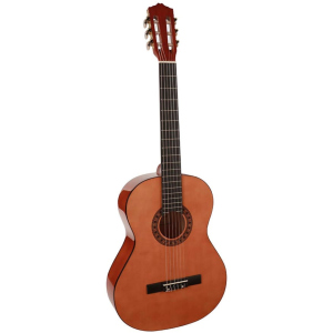 Гитара классическая Salvador Cortez SC-144 (17-2-39-12) ТОП в Хмельницком