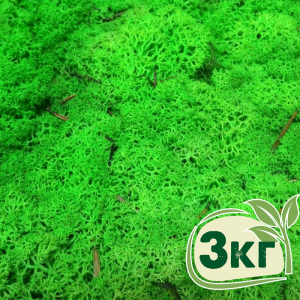 Стабілізований мох ягель Nordic moss Зелений трав'яний світлий 3 кг