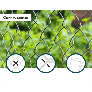 Сітка Рабиця оцинкована Сітка Захід 60х60/3,0мм 1,5м/10м в Хмельницькому