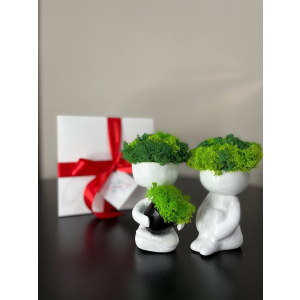 Набір у подарунковій упаковці кашпо хлопчик та дівчинка зі стабілізованим мохом мікс салатовий зелений 15*6 см ТОП в Хмельницькому